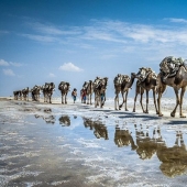 El fenómeno de Yibuti: por qué este país pobre resulta inasequible para el turista común