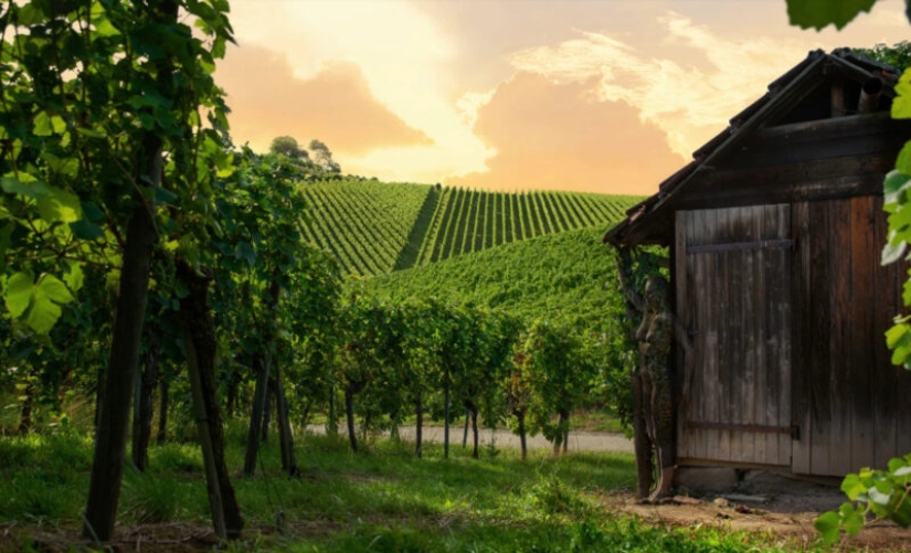 El fotógrafo esconde modelos desnudos en sus obras de paisaje. Podemos encontrarlos?