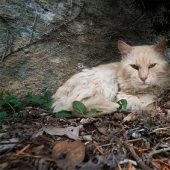 El fotógrafo se ha convertido en un 3D en miniatura para ver el mundo de nuevas maneras