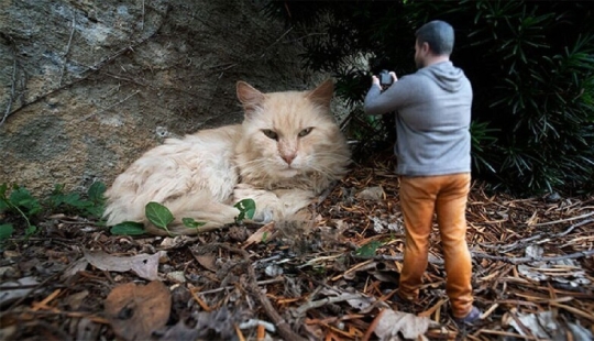El fotógrafo se ha convertido en un 3D en miniatura para ver el mundo de nuevas maneras El fotógrafo se ha convertido en un 3D en miniatura para ver el mundo de nuevas maneras