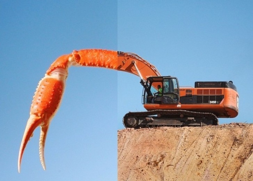 ¡El fotógrafo simplemente combina dos imágenes y obtiene un resultado genial!