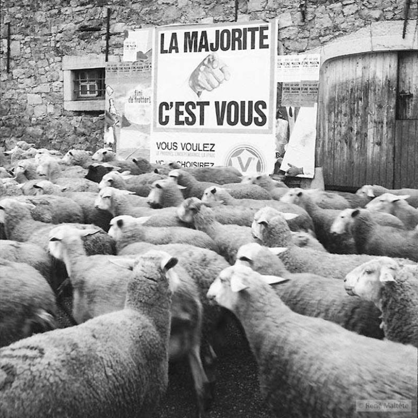 El genio de la fotografía René Maltet El genio de la fotografía René Maltet