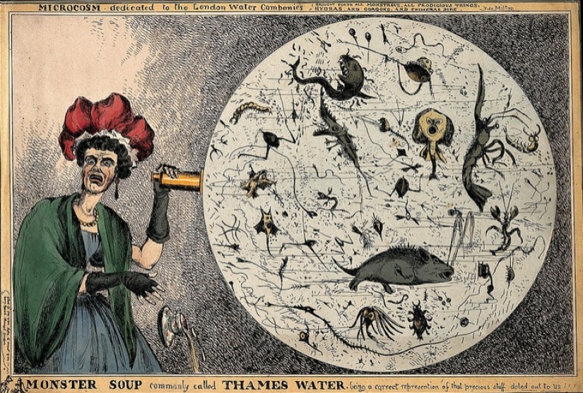 El &quot;gran hedor&quot; en Londres: cómo el desastre medioambiental del siglo XIX impulsó el progreso