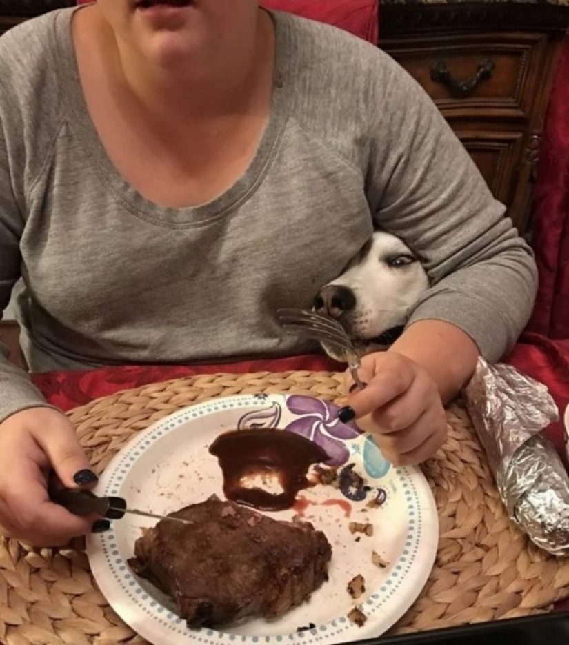 El hambre no es una tía: 25 fotos sobre un apetito maravilloso que definitivamente te hará reír