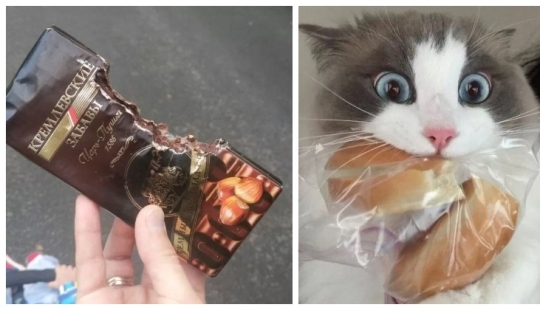 El hambre no es una tía: 25 fotos sobre un apetito maravilloso que definitivamente te hará reír