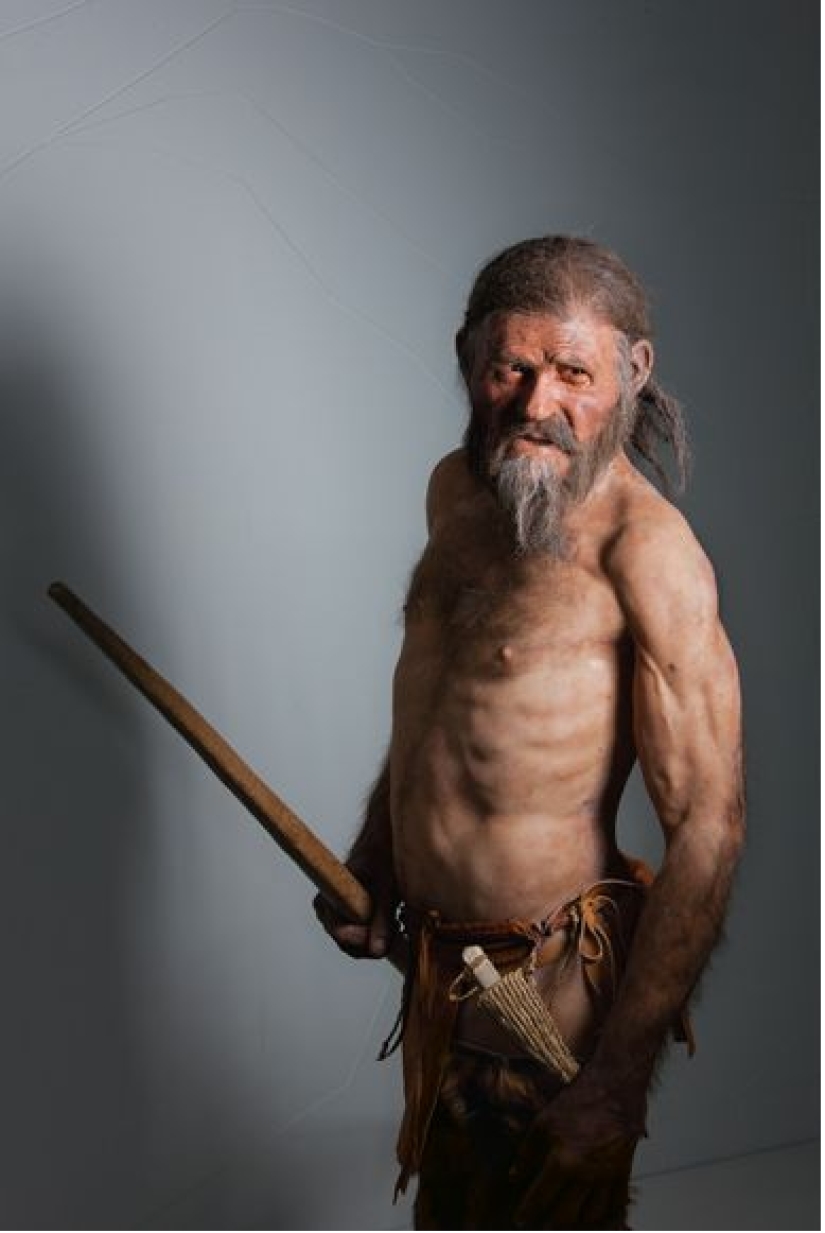 El "Hombre de Hielo" es la momia más antigua encontrada en Europa El "Hombre de Hielo" es la momia más antigua encontrada en Europa