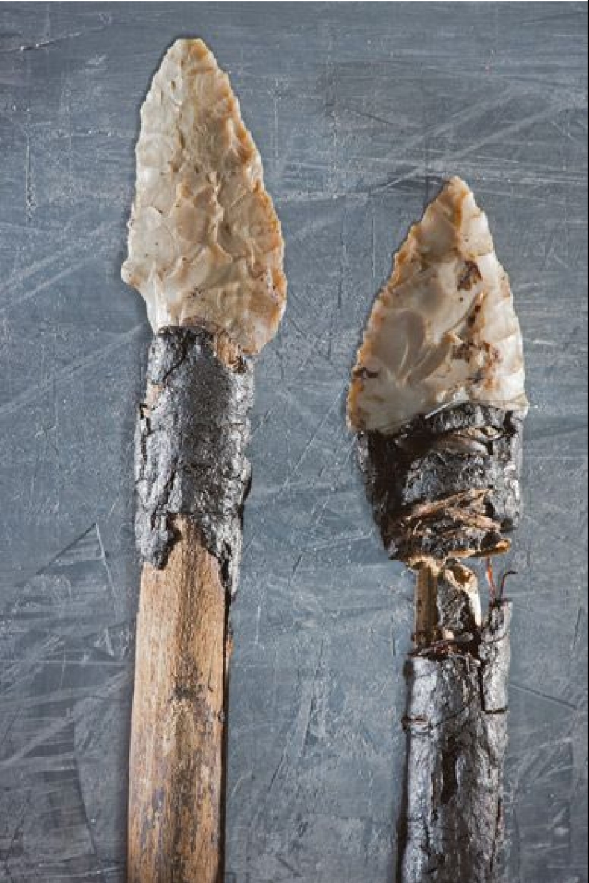 El "Hombre de Hielo" es la momia más antigua encontrada en Europa El "Hombre de Hielo" es la momia más antigua encontrada en Europa