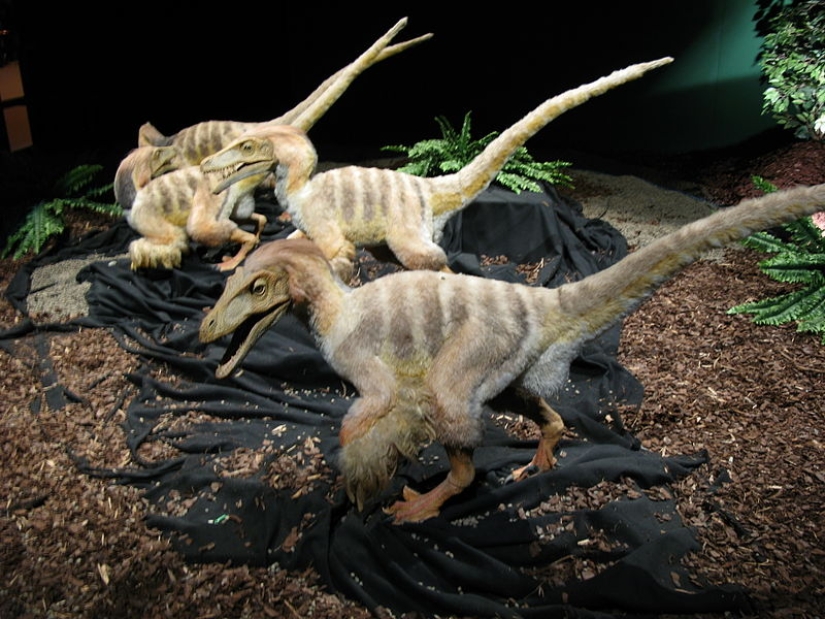 El hombre y un dinosaurio manso: qué estaría pasando ahora en el planeta si los dinosaurios no se hubieran extinguido El hombre y un dinosaurio manso: qué estaría pasando ahora en el planeta si los dinosaurios no se hubieran extinguido