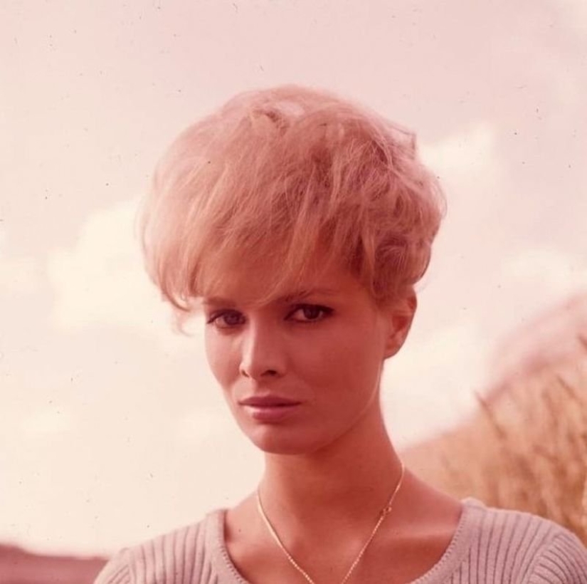 El italiano belleza Scilla Gabel — suplente Sophia Loren El italiano belleza Scilla Gabel — suplente Sophia Loren