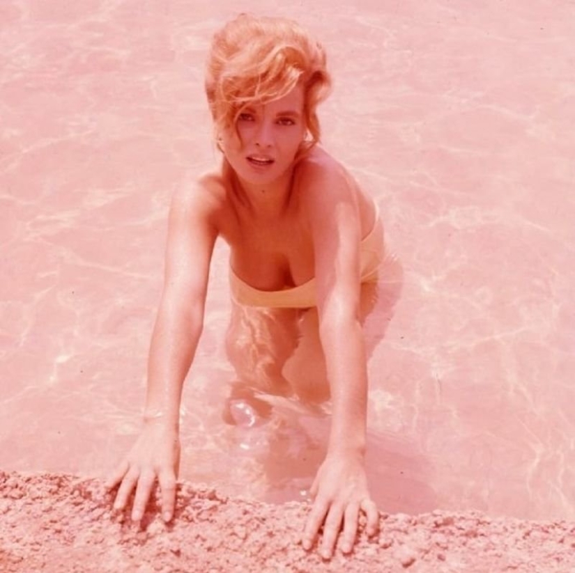 El italiano belleza Scilla Gabel — suplente Sophia Loren El italiano belleza Scilla Gabel — suplente Sophia Loren