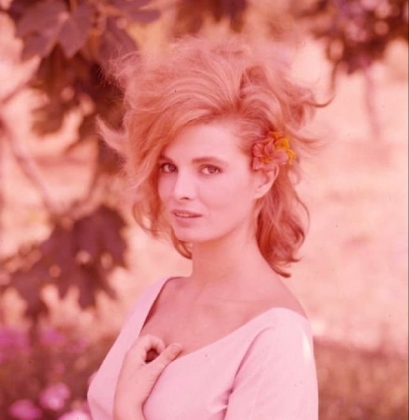 El italiano belleza Scilla Gabel — suplente Sophia Loren El italiano belleza Scilla Gabel — suplente Sophia Loren