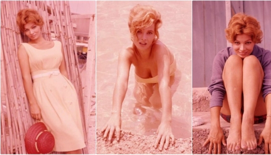 El italiano belleza Scilla Gabel — suplente Sophia Loren El italiano belleza Scilla Gabel — suplente Sophia Loren