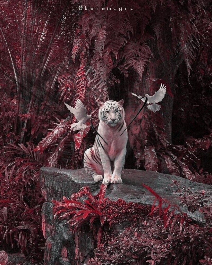 El joven fotógrafo turco Kerem Jigerji y sus manipulaciones fotográficas surrealistas El joven fotógrafo turco Kerem Jigerji y sus manipulaciones fotográficas surrealistas