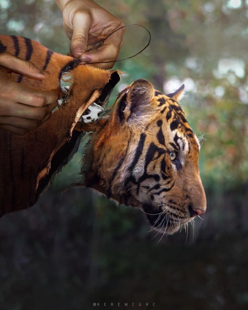 El joven fotógrafo turco Kerem Jigerji y sus manipulaciones fotográficas surrealistas El joven fotógrafo turco Kerem Jigerji y sus manipulaciones fotográficas surrealistas