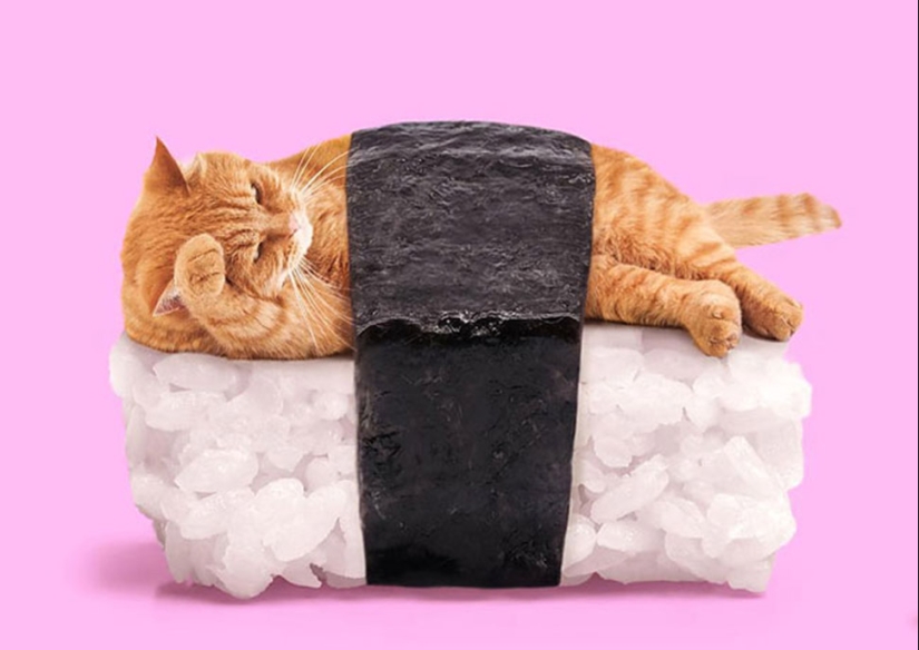 El lado surrealista de los objetos ordinarios en los collages del mexicano Paul Fuentes