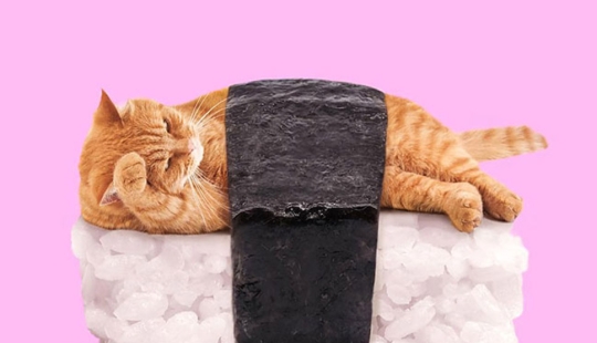 El lado surrealista de los objetos ordinarios en los collages del mexicano Paul Fuentes El lado surrealista de los objetos ordinarios en los collages del mexicano Paul Fuentes