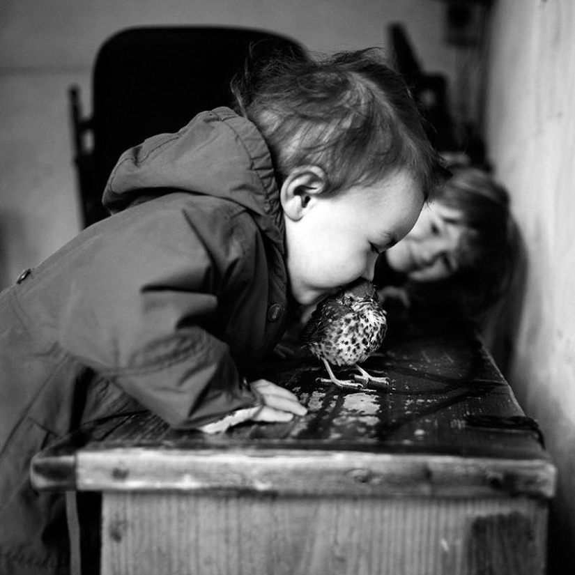 El álbum familiar más bonito