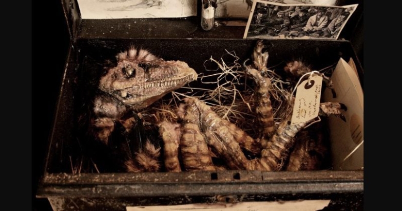 El misterio de la colección de pesadilla de Thomas Merrilyn, un viajero en el tiempo