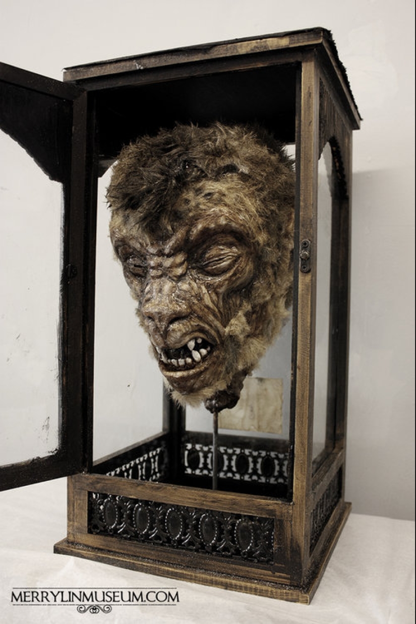 El misterio de la colección de pesadilla de Thomas Merrilyn, un viajero en el tiempo