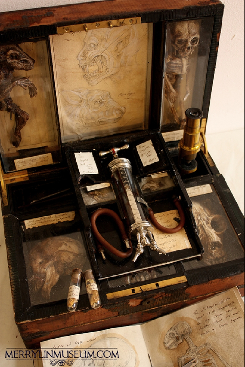 El misterio de la colección de pesadilla de Thomas Merrilyn, un viajero en el tiempo