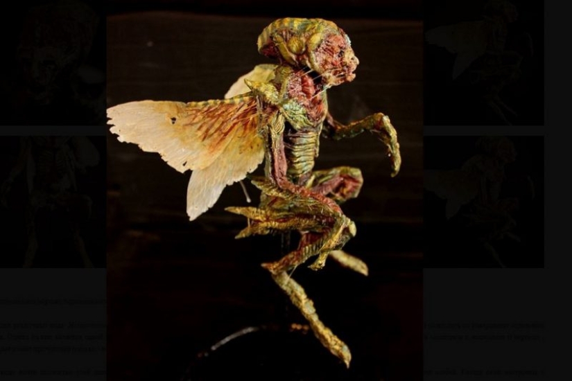 El misterio de la colección de pesadilla de Thomas Merrilyn, un viajero en el tiempo