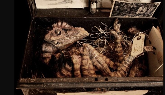 El misterio de la colección de pesadilla de Thomas Merrilyn, un viajero en el tiempo El misterio de la colección de pesadilla de Thomas Merrilyn, un viajero en el tiempo