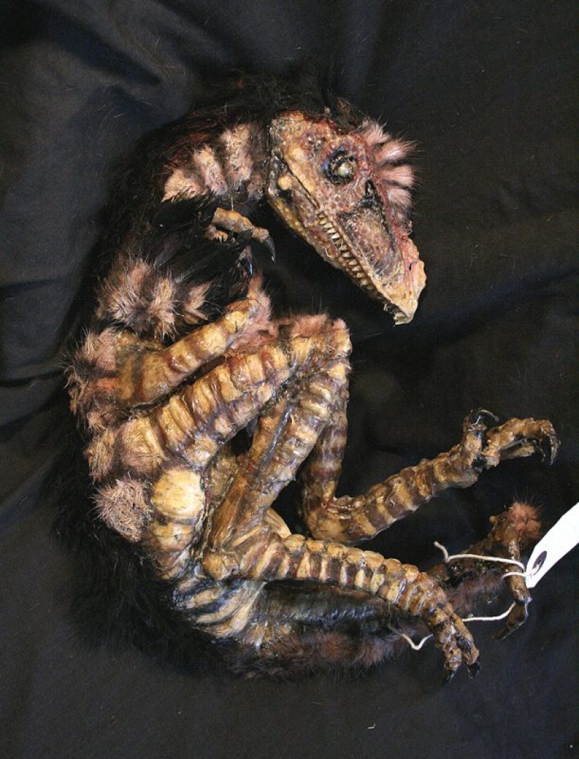 El misterio de la colección de pesadilla de Thomas Merrilyn, un viajero en el tiempo