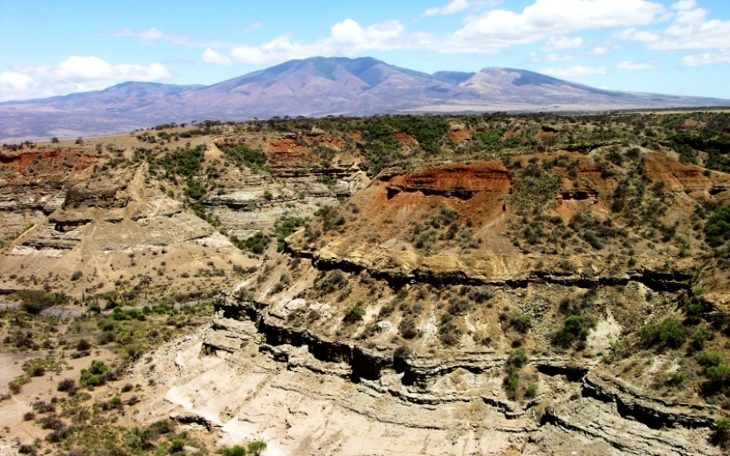 El misterioso esqueleto de Hans Reck, que estuvo enterrado durante un millón de años