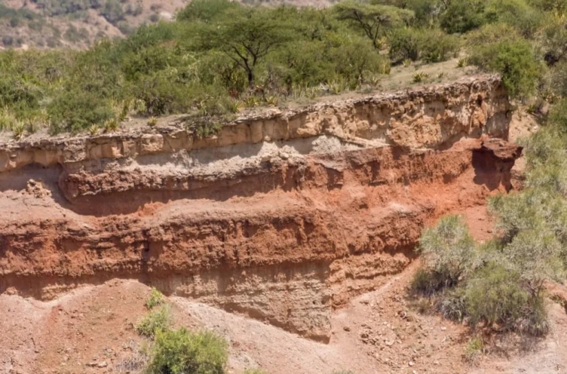 El misterioso esqueleto de Hans Reck, que estuvo enterrado durante un millón de años