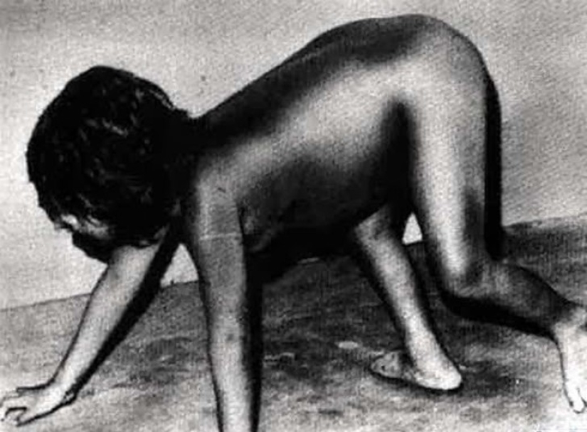 El más famoso niño Mowgli: ¿qué pasó con los niños que crecieron entre los animales El más famoso niño Mowgli: ¿qué pasó con los niños que crecieron entre los animales