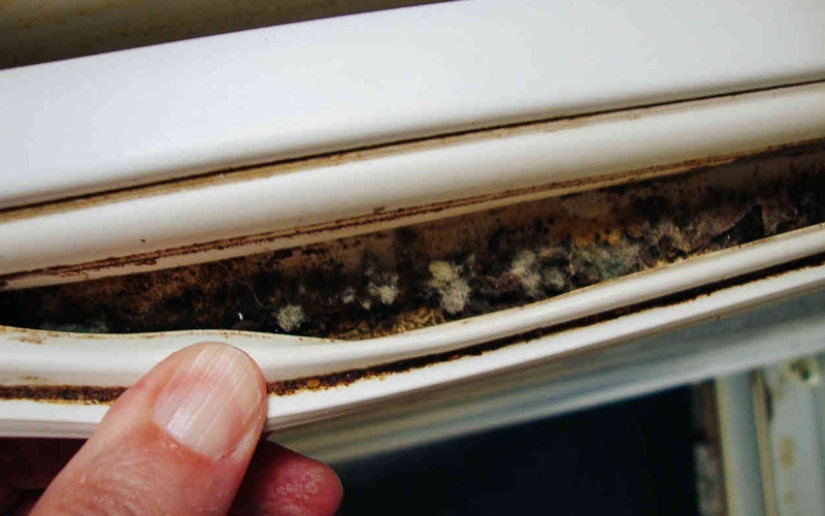 El más sucio lugar en cualquier apartamento