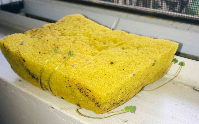 El más sucio lugar en cualquier apartamento