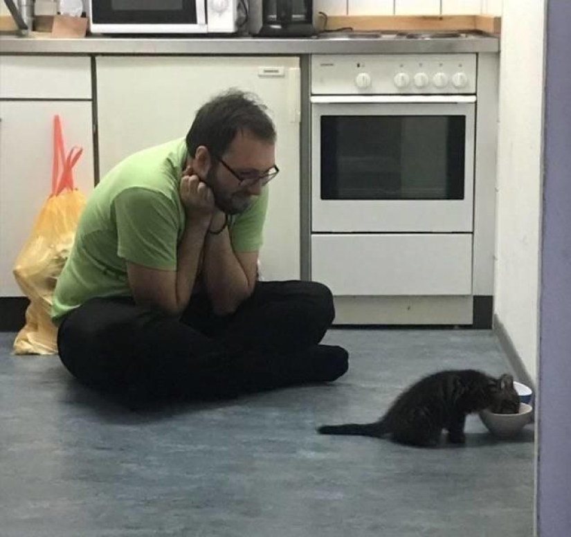 El mundo es mejor de lo que crees: 35 emocional fotos que lo prueban