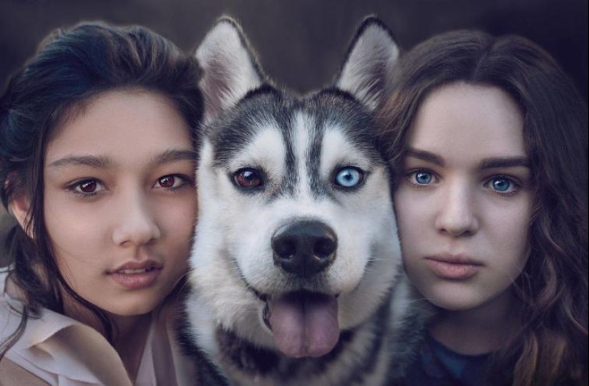 El mundo es mejor de lo que crees: 35 emocional fotos que lo prueban