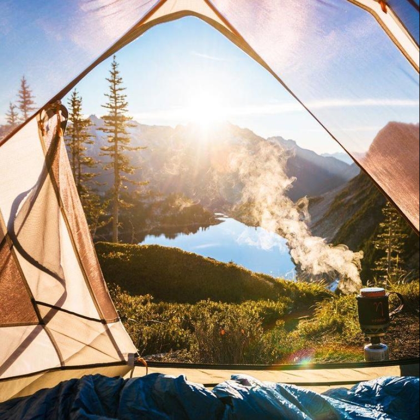 El mundo es mejor de lo que crees: 35 emocional fotos que lo prueban