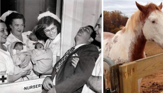 El mundo es mejor de lo que crees: 35 emocional fotos que lo prueban