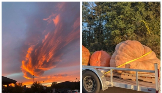 El mundo está lleno de sorpresas, y aquí hay al menos 22 pruebas El mundo está lleno de sorpresas, y aquí hay al menos 22 pruebas