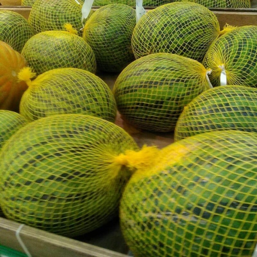 El mundo plástico ha ganado: 22 ejemplos de cómo diligentemente la gente destruye el planeta con plástico El mundo plástico ha ganado: 22 ejemplos de cómo diligentemente la gente destruye el planeta con plástico