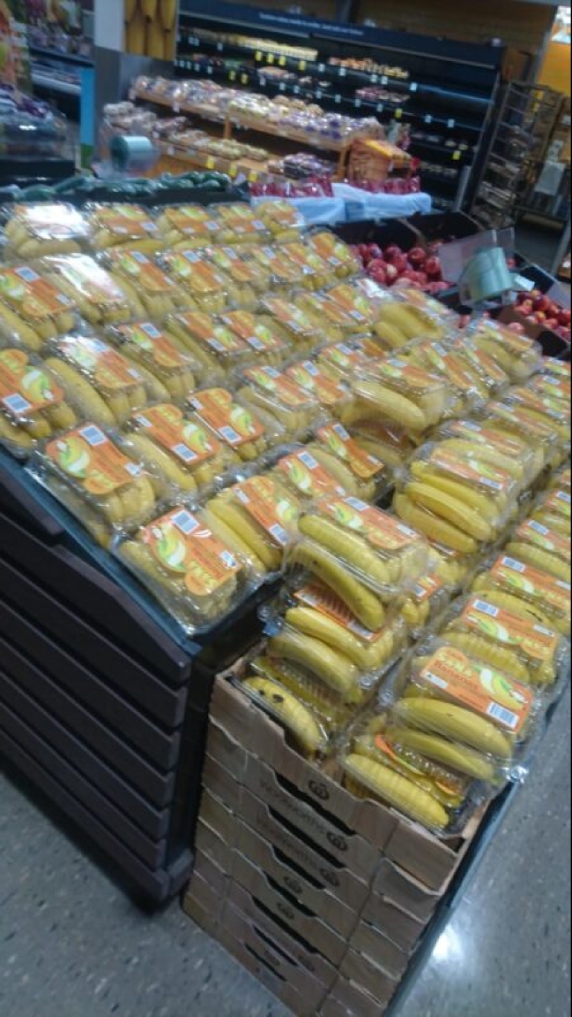 El mundo plástico ha ganado: 22 ejemplos de cómo diligentemente la gente destruye el planeta con plástico El mundo plástico ha ganado: 22 ejemplos de cómo diligentemente la gente destruye el planeta con plástico