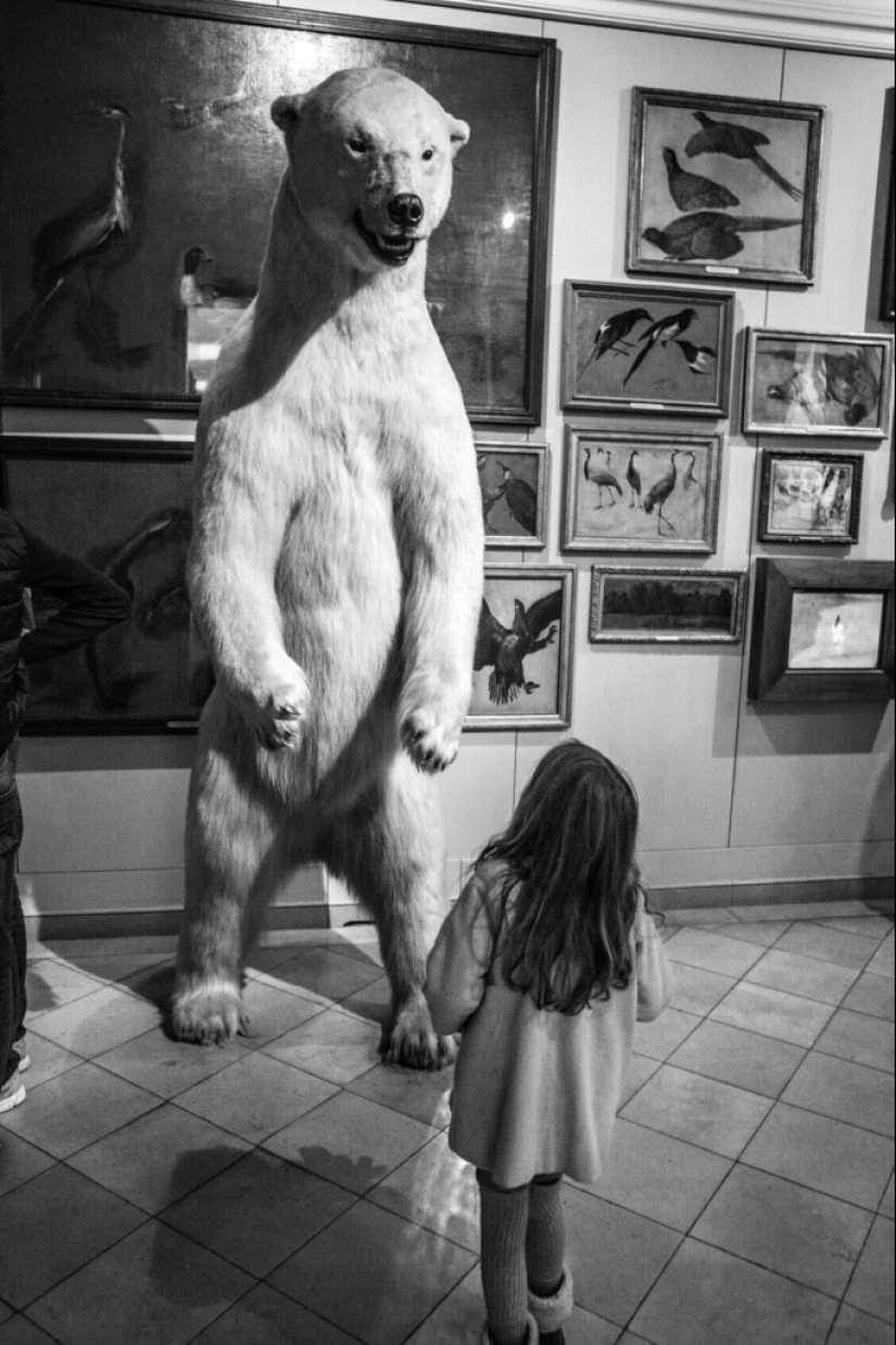 El otro lado de la belleza Gérard Ufères: detrás de escena de teatros, obras maestras de museos y sus conocedores