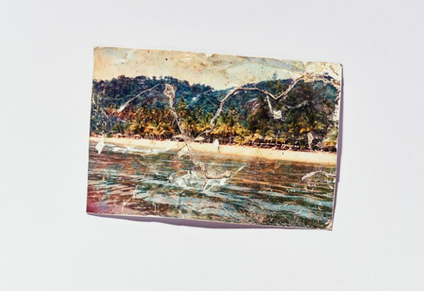 El peor trabajo del mundo: el hombre que limpia las consecuencias de los accidentes aéreos El peor trabajo del mundo: el hombre que limpia las consecuencias de los accidentes aéreos