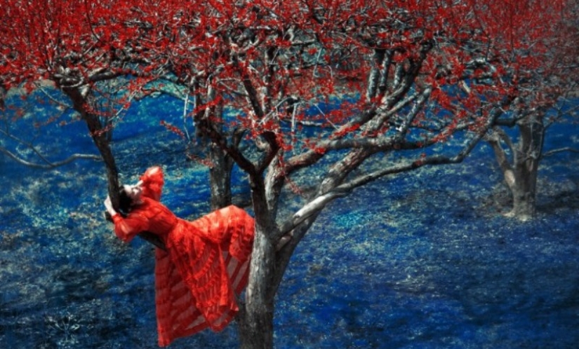 El pintor con cámara Eric Madigan Heck y sus mágicos juegos con el color El pintor con cámara Eric Madigan Heck y sus mágicos juegos con el color