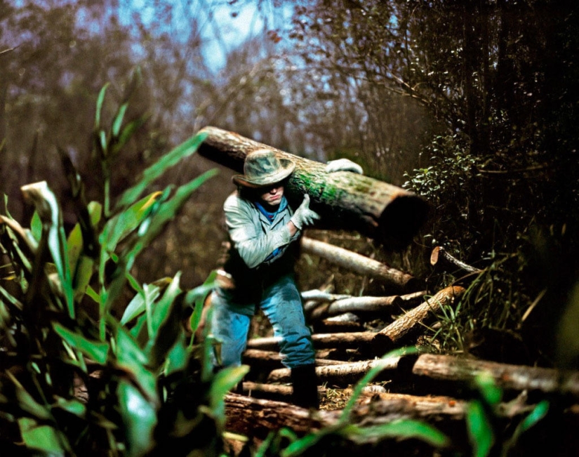 El proyecto de la Luna Creciente: fotos increíbles tomadas por la luz de la luna