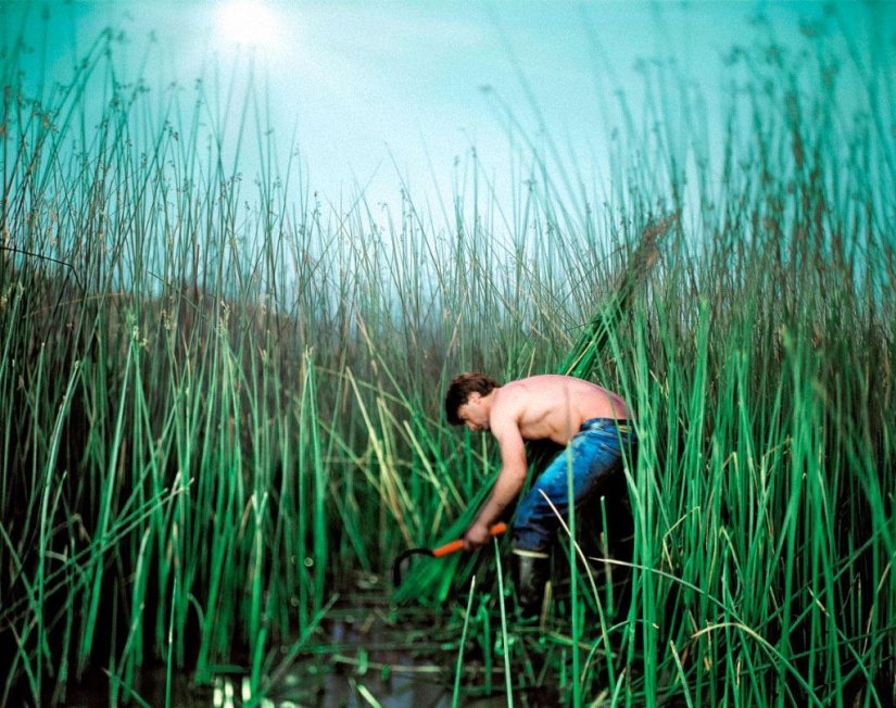 El proyecto de la Luna Creciente: fotos increíbles tomadas por la luz de la luna