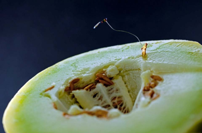 El proyecto fotográfico de Christopher Bofoli "Desproporcionalidad" El proyecto fotográfico de Christopher Bofoli "Desproporcionalidad"