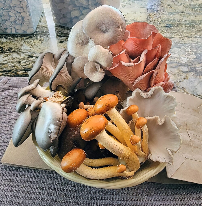 El secreto de las parejas felices: 25 hombres que saben animar a sus mitades El secreto de las parejas felices: 25 hombres que saben animar a sus mitades