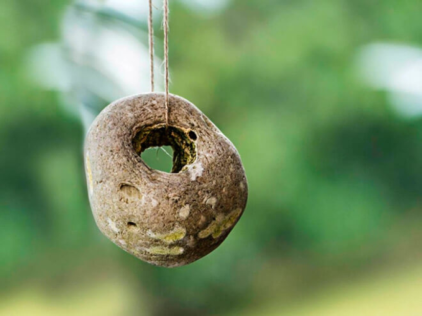 El secreto del "dios pollo": por qué las piedras con un agujero se valoran en todo el mundo El secreto del "dios pollo": por qué las piedras con un agujero se valoran en todo el mundo