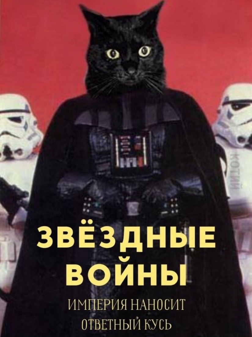El Señor se lleva la última de las bandejas de Kus! Carteles de éxitos de taquilla con los gatos en los papeles principales