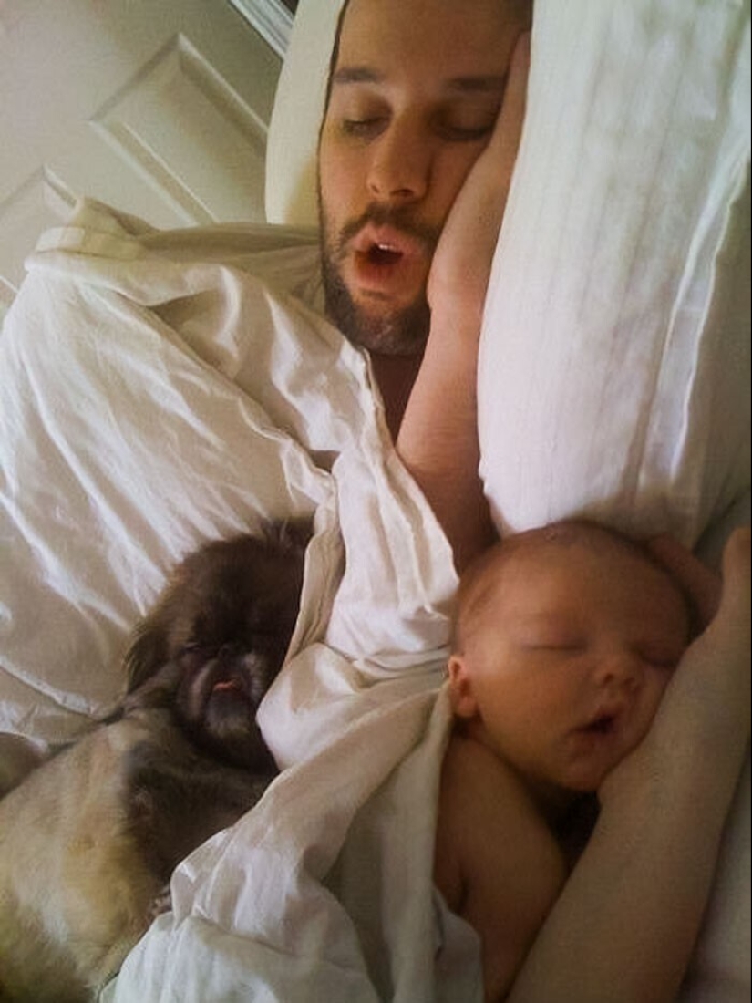 El sueño es sagrado: gente durmiendo en las más ridículas poses y lugares El sueño es sagrado: gente durmiendo en las más ridículas poses y lugares