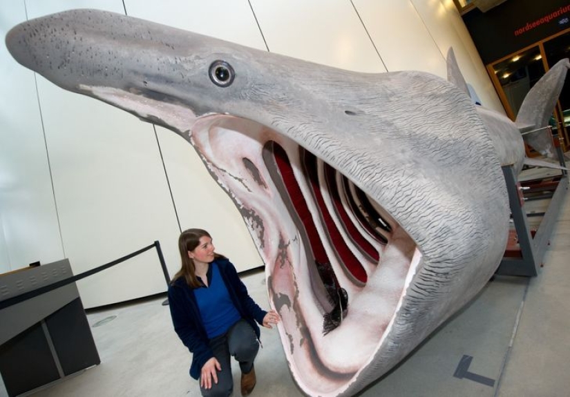 El tamaño importa: 22 pruebas de la ley de la relatividad que Einstein nunca soñó El tamaño importa: 22 pruebas de la ley de la relatividad que Einstein nunca soñó